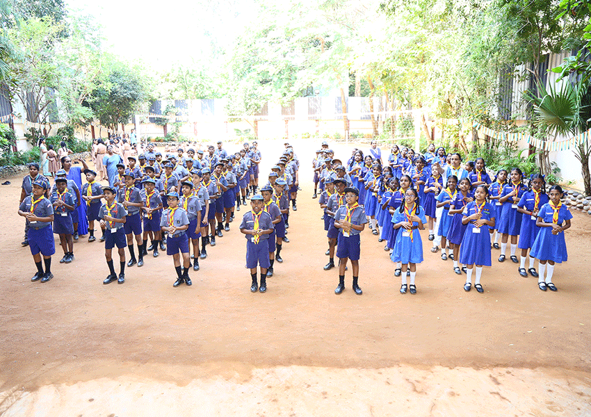 Service Initiatives - Cubs & Bulbuls